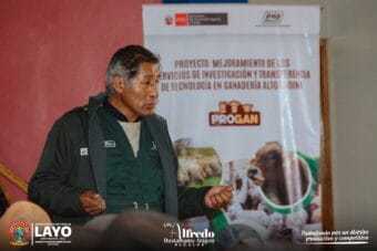 𝗙𝗢𝗥𝗧𝗔𝗟𝗘𝗖𝗜𝗘𝗡𝗗𝗢 𝗟𝗔 𝗖𝗥𝗜𝗔𝗡𝗭𝗔 𝗗𝗘 𝗖𝗔𝗠É𝗟𝗜𝗗𝗢𝗦 𝗦𝗨𝗗𝗔𝗠𝗘𝗥𝗜𝗖𝗔𝗡𝗢𝗦