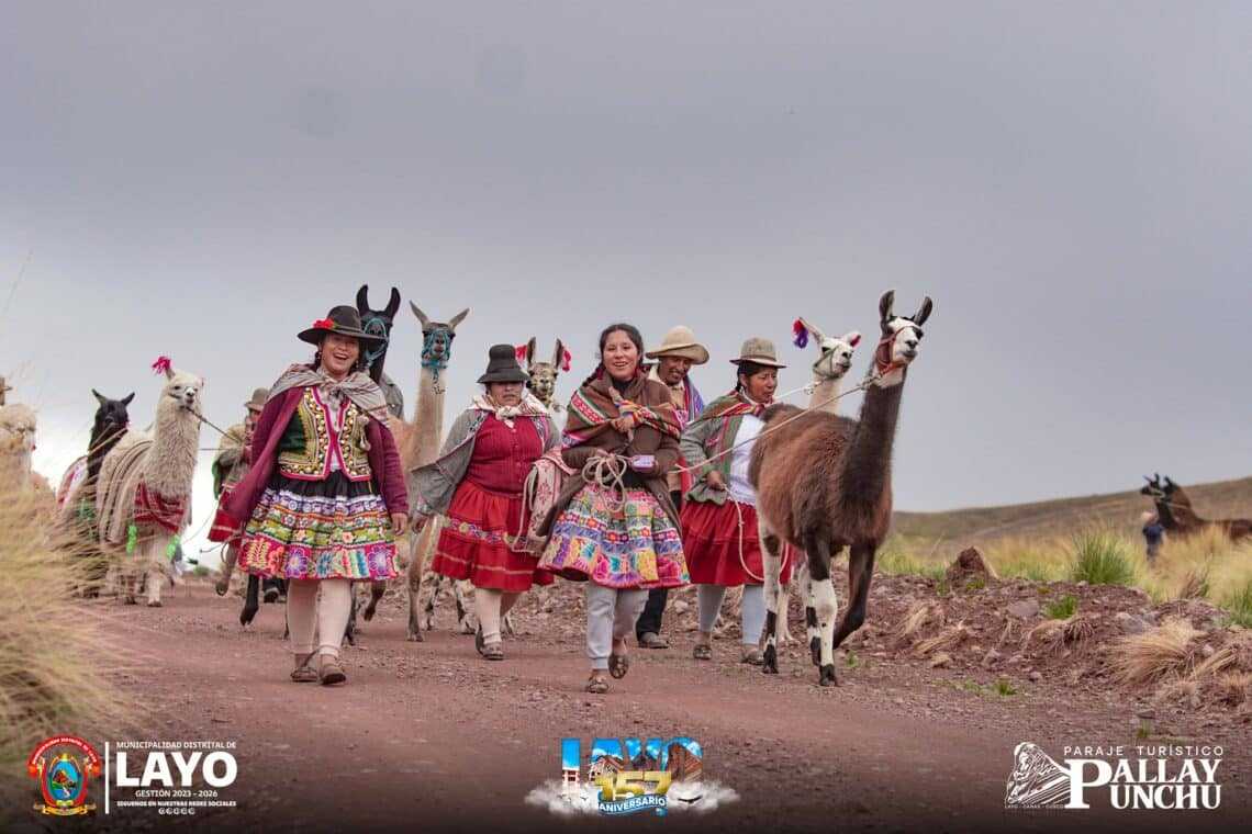Nueva Publicación