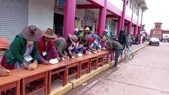 FELTIVAL DEL CUY LAYO 2025