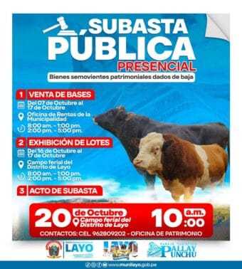 𝗦𝗨𝗕𝗔𝗦𝗧𝗔 𝗣Ú𝗕𝗟𝗜𝗖𝗔 𝗗𝗘 𝗕𝗜𝗘𝗡𝗘𝗦 𝗦𝗘𝗠𝗢𝗩𝗜𝗘𝗡𝗧𝗘𝗦 𝗣𝗔𝗧𝗥𝗜𝗠𝗢𝗡𝗜𝗔𝗟𝗘𝗦 𝗗𝗔𝗗𝗢𝗦 𝗗𝗘 𝗕𝗔𝗝𝗔