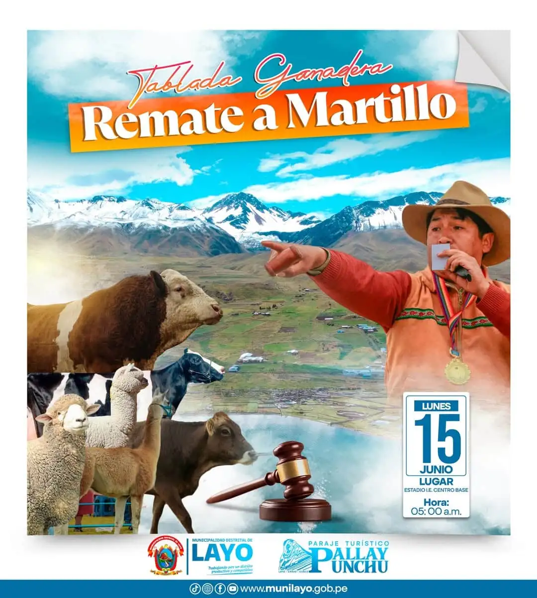 Nueva Publicación