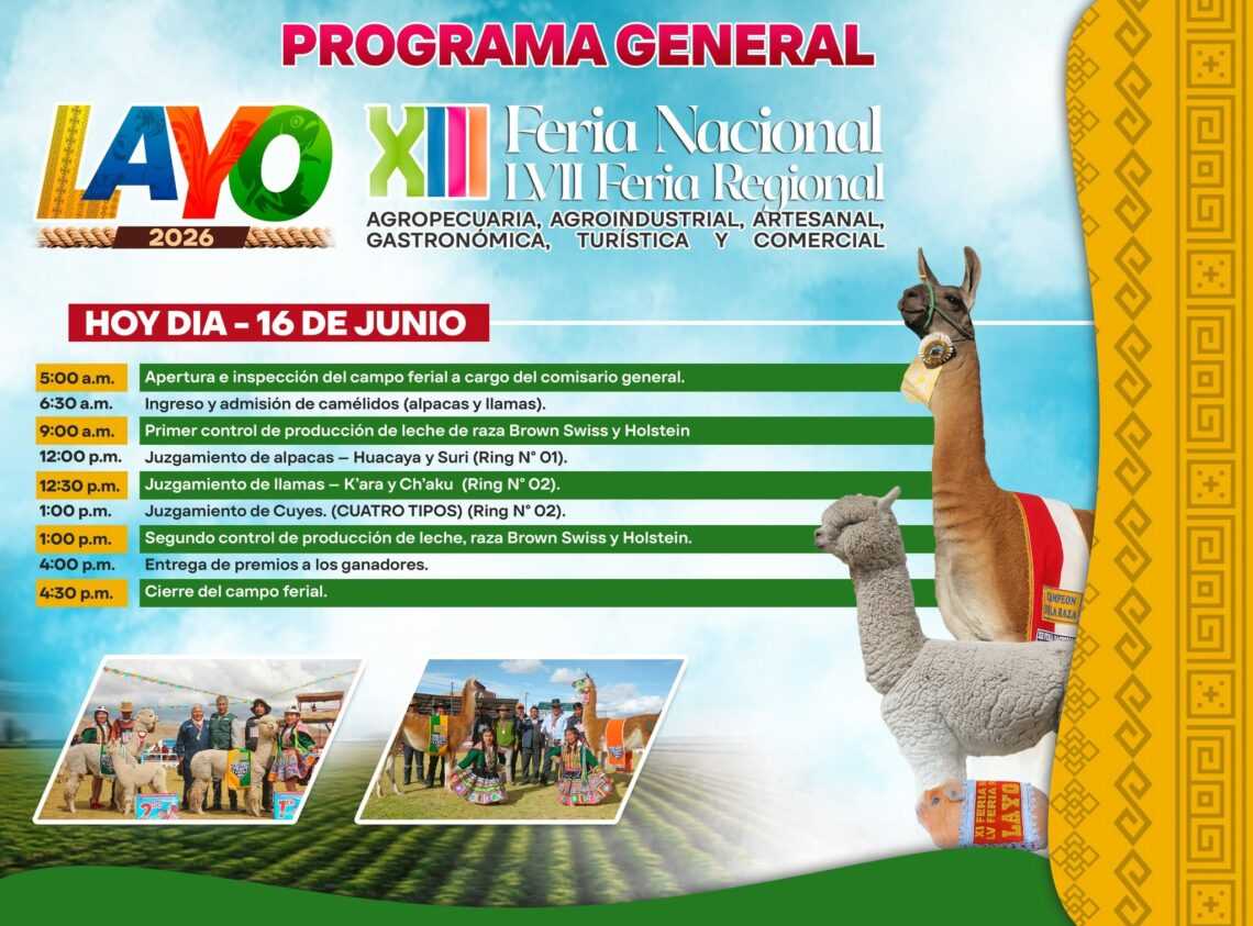 Nueva Publicación