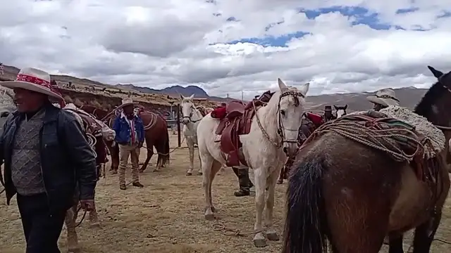 Aiheeseen liittyvät videot