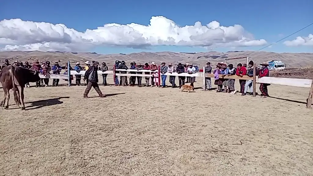Gran remate hanocca 2026