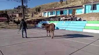 REMATE A MARTILLO EN LA COMUNIDAD DE HILATUNGA