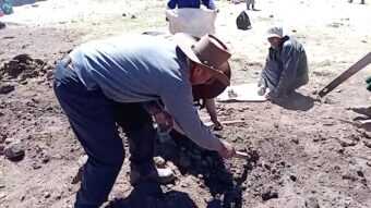 FELIZ DIA DEL ADULTO MAYOR