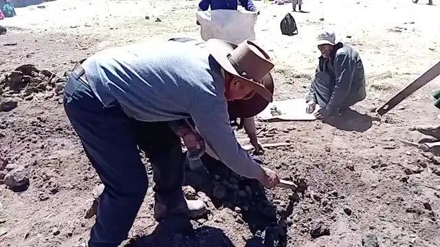 FELIZ DIA DEL ADULTO MAYOR