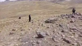 Aiheeseen liittyvät videot